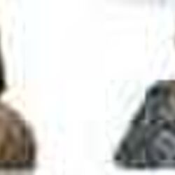 Marie-Florence DEMEULEMEESTER à Hérinnes: avis de décès