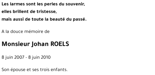Johan ROELS