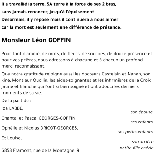 Léon GOFFIN