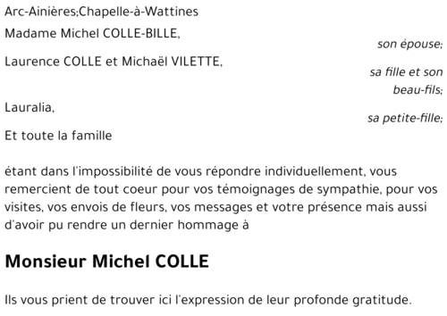 Michel COLLE