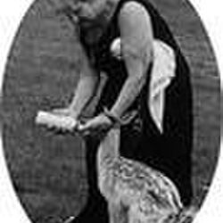 Suzanna DE BRUEKER à : avis de décès