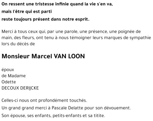 Marcel VAN LOON