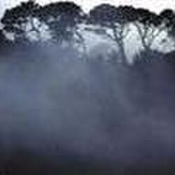 Maurice FRANSSEN à -: avis de décès