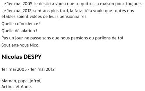 Nicolas DESPY