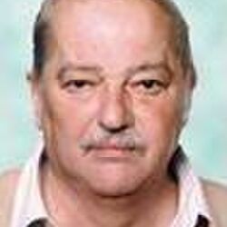 Michel HENNE à Bois-de-Lessines: avis de décès