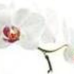 Gilbert BECKER à Malmedy: avis de décès