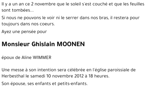 Ghislain MOONEN