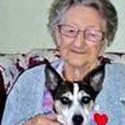 Alice HELLIN à Laplaigne: avis de décès