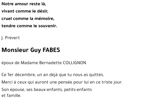 Guy FABES