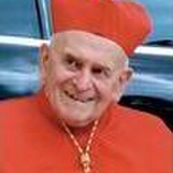 Julien-Camille RIES à Villers-Saint-Amand: avis de décès