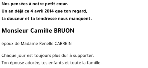 Camille BRUON