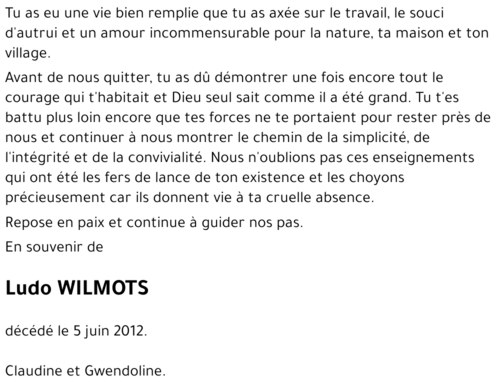 Ludo WILMOTS