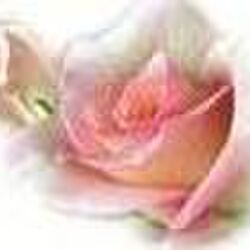 Martha VILZ à Gérouville: avis de décès