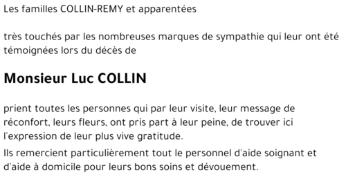 Luc COLLIN