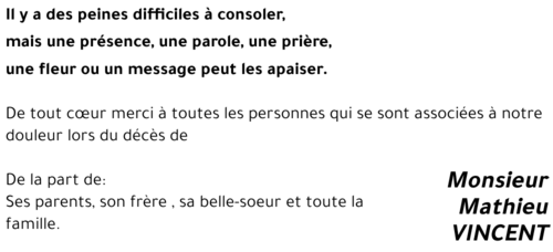 Mathieu VINCENT