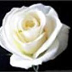 Arlette PIROTTE à Libramont-Chevigny: avis de décès