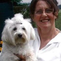 Colette LAMPOLE à Pottes: avis de décès