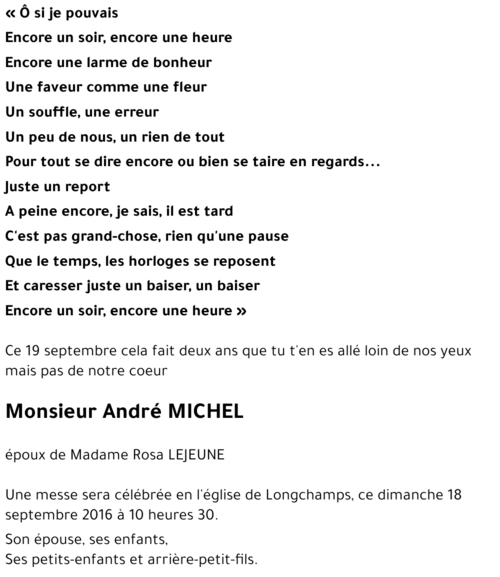 André MICHEL