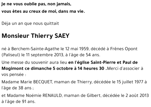 Thierry SAES