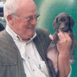 Henri Jules Victor BASTIEN à Irchonwelz: avis de décès