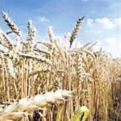 André Hubert à : avis de décès