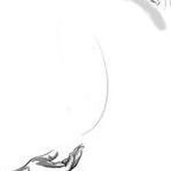 Louis DUBOIS à Profondeville: avis de décès