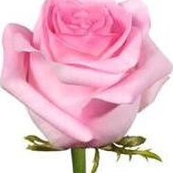 Marie Joseph PONCELET à Fays-les-Veneurs: avis de décès