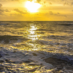 Gerard VERBRAEKEN à : avis de décès