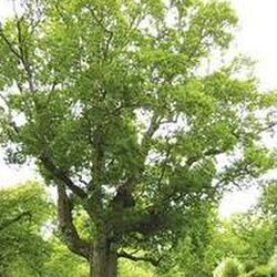 Jean-Marie GASPART à Rochefort: avis de décès