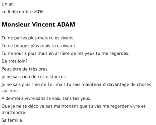 Vincent ADAM