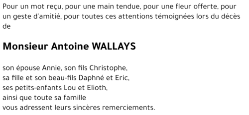 Antoine WALLAYS