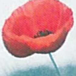 Jean-Luc QUÉTIN à : avis de décès