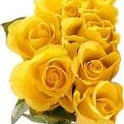 Arthur HOFERLIN à Neufchâteau: avis de décès