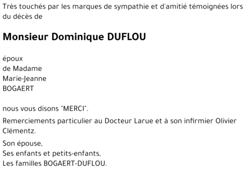 Dominique DUFLOU