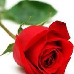 Madeleine LAFONTAINE à Vaux-sur-Sûre: avis de décès