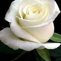 Daniel DORVAL à Héron: avis de décès