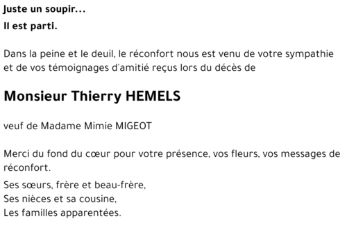 Thierry HEMELS