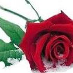 Yvonne CLAUDE à : avis de décès