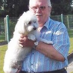 Robert DUC à Dottignies: avis de décès