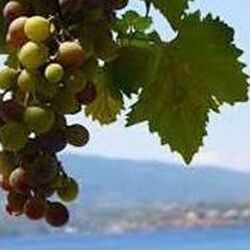 Claude MARICHAL à Saint-Hubert: avis de décès