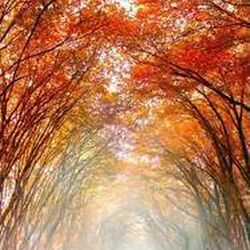 Marie-Berthe VALENTIN à Bastogne: avis de décès