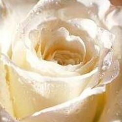 Agnès VERMEERSCH à Tournay: avis de décès