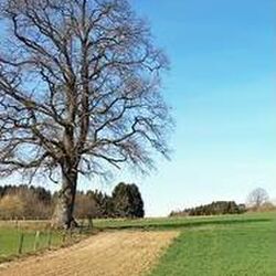Marcelle LEONARD à Champlon: avis de décès