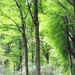 André DEWAELE à : avis de décès