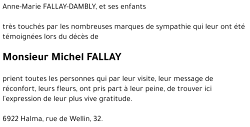 Michel FALLAY