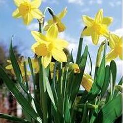 André PIERRET à -: avis de décès