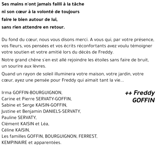 Freddy GOFFIN