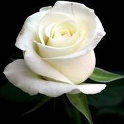 Anne-Marie RENWART à Hannut: avis de décès