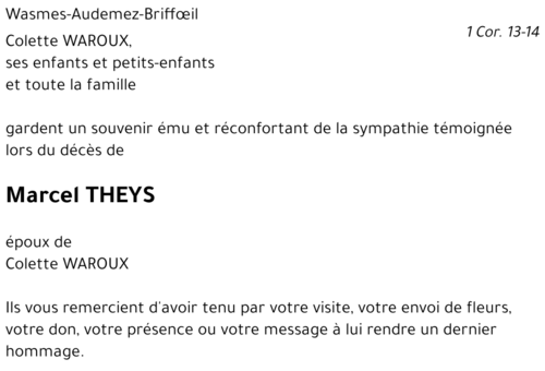Marcel THEYS