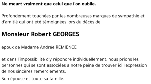 Robert GEORGES